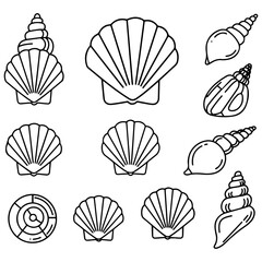 A clean and accurate assortment of conchology icons, showcasing the diversity of different shell families