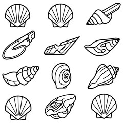 A designer's toolkit featuring a huge variety of shell illustrations in both solid silhouette and detailed line art versions
