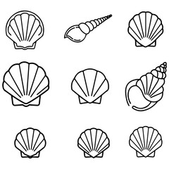 A versatile vector icon set of seashells, featuring a variety of species in clean line art and bold silhouette styles