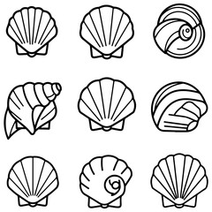 A fantastic assortment of tropical shell icons, ideal for designs related to exotic travel and island destinations
