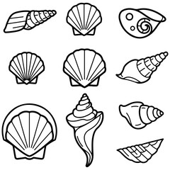 A complete vector toolkit of seashell designs for bringing a fresh and sunny beach vibe to any creative project