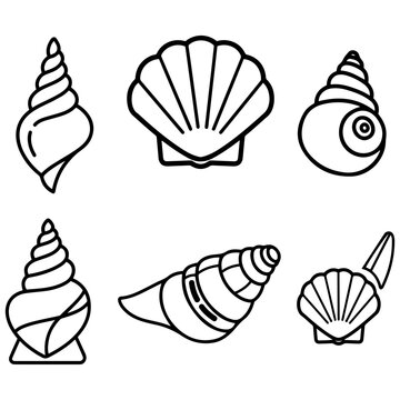 A professional asset pack of seashell graphics, delivered in a clean, monochrome outline style for maximum versatility