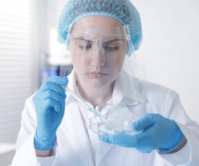 Scientist working with sample in Petri dish in laboratory