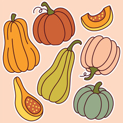 Mixed collection of autumn vegetables including pumpkins, gourds, and cut squash on pastel background in colorful flat design