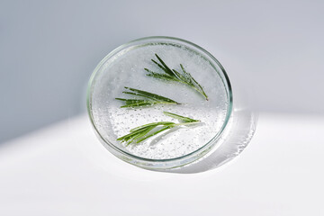 A sample of the texture of rosemary whey in a petri dish.