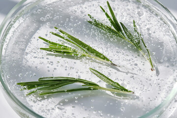 Rosemary sprigs in a whey texture in a petri dish.