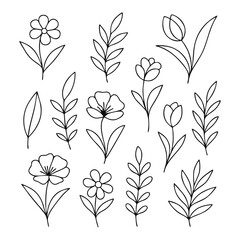 Botanical Line Art Icons — Elegant Minimalist Nature Series, A curated collection of fifteen botanical line art icons featuring diverse floral and leaf motifs — crafted in minimalist style and arrange