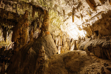Postojna cave in Slovenia