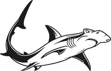 Hammerhead Shark Illustration for Marine and Wildlife Designs. High Quality Hammerhead Shark for Ocean and Nature Projects. Unique Hammerhead Shark Artwork for Digital and Print Media