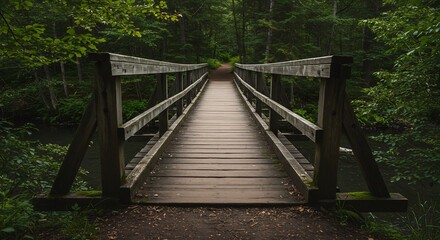 Obraz premium Serene Forest Bridge: Rustic Wooden Pathway Leading into Verdant Canopy