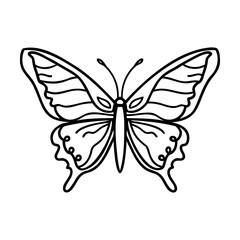 Black and white butterfly line art illustration on white background