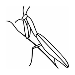 Black and white line art illustration of a praying mantis insect