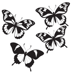 Obraz premium Black Butterfly Silhouettes Set