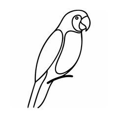 Black and white line art parrot illustration on white background