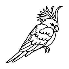 Black and White Cockatoo Bird Line Art Illustration on White Background
