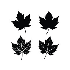A set of sycamore leaf silhouette vector art illustration