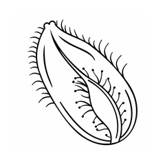 Obraz premium Black and white seed pod illustration with spiky edges and dotted details