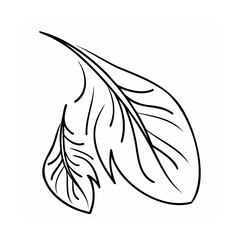 Two Black Line Art Leaves on White Background leaf