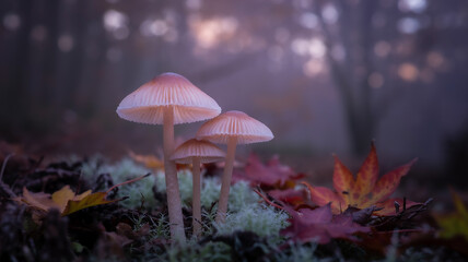 Fototapeta premium Dreamy Pastel Mushrooms generative ai