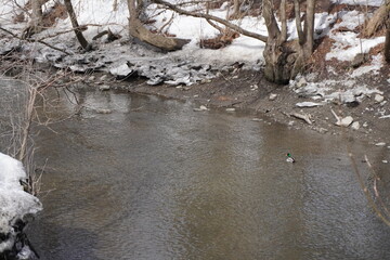 River in winter in a park