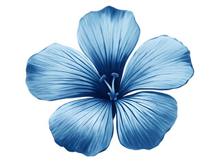  blue flower isolated on white background PNG, AI GENERATED