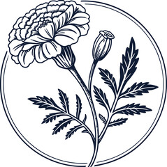 Elegant Marigold Floral Illustration Botanical Line Art Design