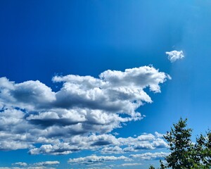 Dramatic Cloudscape Against Clear Blue Sky with Tree Silhouette