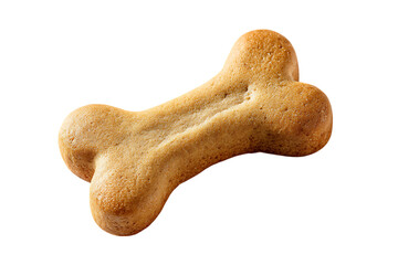 Single dog biscuit in bone shape.