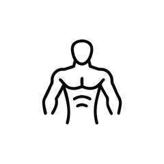 Line art a male torso showing muscles abs on a body