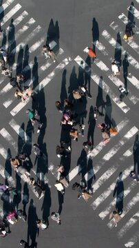 Elevated view over a crowd pedestrian crossing in road intersection with light of a sunset. Aerial view of asian people in busy scramble crosswalk.