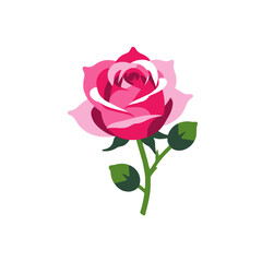 Pink Rose Illustration with Green Stem and Leaves- Vector Graphic of a Blooming Flower- Isolated Rose Clipart for Design Projects