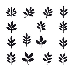Vector leaves icons set-Different leaf shapes-Nature and botanical concept-Minimalist foliage design-Black leaves on white background-Collection of leaf illustrations