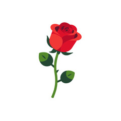 Vector Red Rose Illustration-Beautiful Single Rose Image-Elegant Red Rose with Green Stem and Leaves-Floral Design Element-Perfect for Valentine's Day Graphics