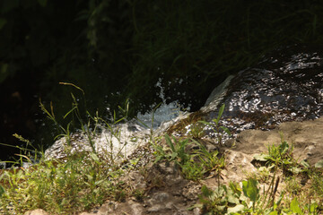 Splashes of Water