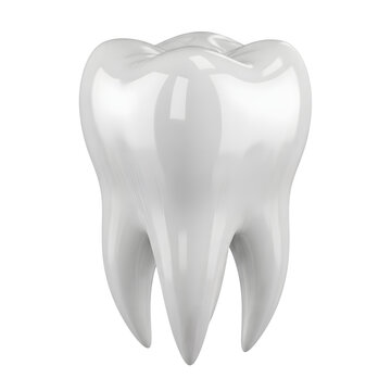 White tooth dental model dentistry oral hygiene healthcare molar anatomy teeth whitening dentist 3d render on transparent background