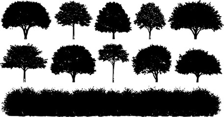 Trees, Bushes, Grass
