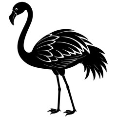 Photo of a black flamingo silhouette isolated on white background