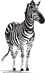  Elegant continuous line art of a zebra standing tall, black-and-white only and minimalist.