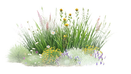A vibrant patch of wildflowers and grasses isolated on transparent background