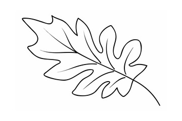 Black Outline Oak Leaf on White Background vector