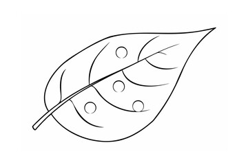 Black and white leaf illustration with circles on white background