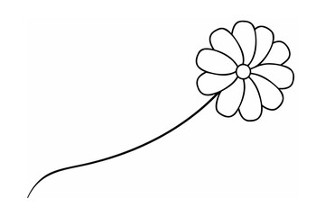 Black and white daisy flower one line drawing on white background