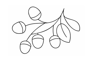Black line drawing of a branch with acorns and leaves on white background