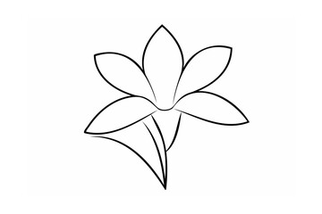 Black Line Drawing of a Floral Bloom on White Background