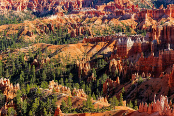 Bryce Canyon National Park in Utah,
one of the most beautiful national parks in the world
