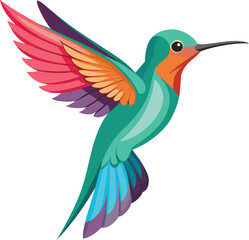 Hummingbird and flower, vector illustration of a bird with flowers