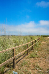 Obraz premium Sunny Trail Through Green Fields with Wooden Fence and Blue Sky