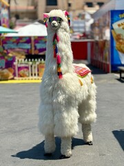 White alpaca wearing sunglasses looks funny add the County Fair