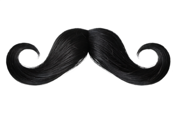    black curly mustache beard isolated on white background PNG ,AI GENERATED