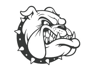 Aggressive Bulldog Head with Spiked Collar Black and White Illustration
